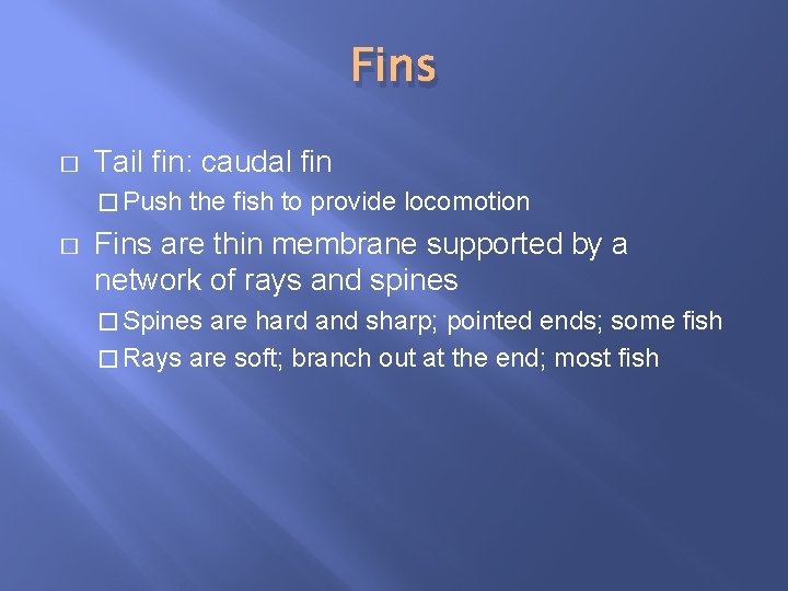 Fins � Tail fin: caudal fin � Push � the fish to provide locomotion
