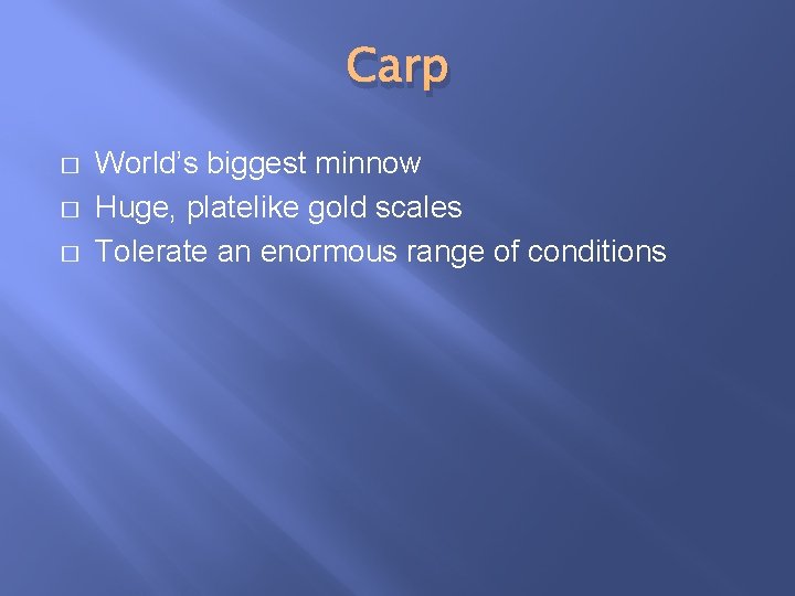 Carp � � � World’s biggest minnow Huge, platelike gold scales Tolerate an enormous