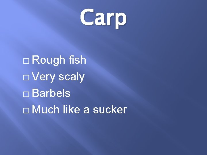Carp � Rough fish � Very scaly � Barbels � Much like a sucker