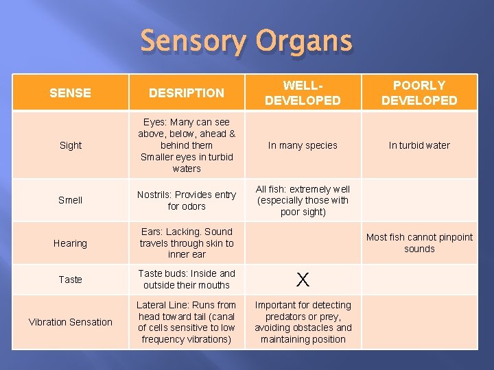 Sensory Organs SENSE DESRIPTION WELLDEVELOPED POORLY DEVELOPED Sight Eyes: Many can see above, below,
