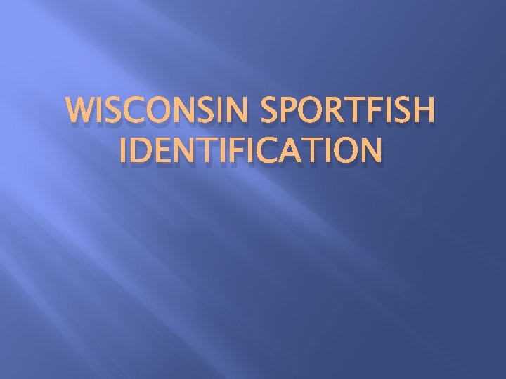 WISCONSIN SPORTFISH IDENTIFICATION 