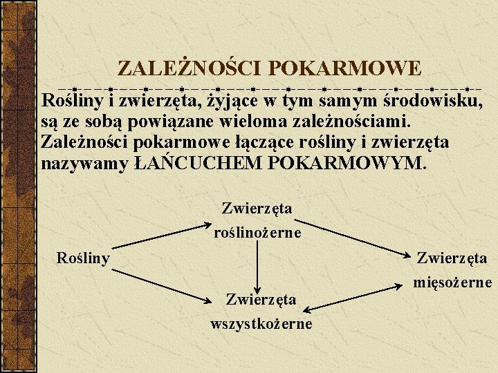 ZALEŻNOŚCI POKARMOWE Rośliny i zwierzęta, żyjące w tym samym środowisku, są ze sobą powiązane