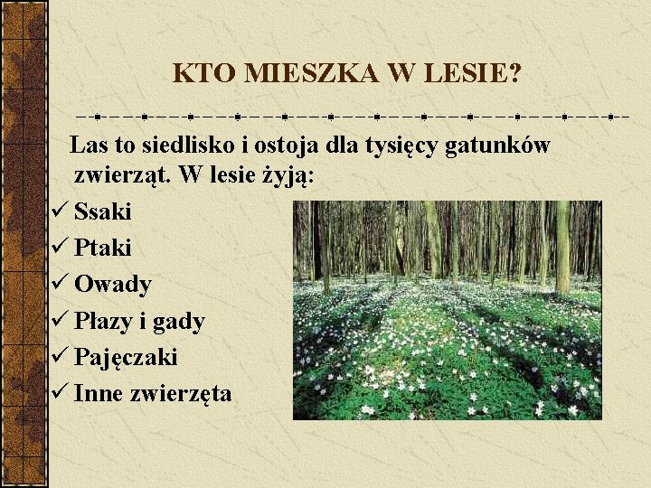 KTO MIESZKA W LESIE? Las to siedlisko i ostoja dla tysięcy gatunków zwierząt. W