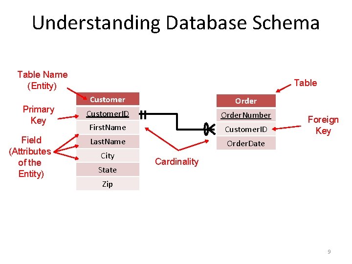 Understanding Database Schema Table Name (Entity) Primary Key Field (Attributes of the Entity) Table