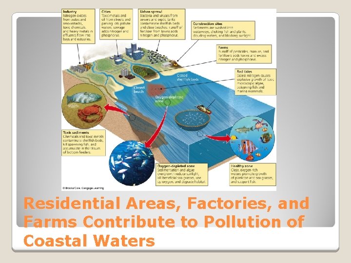 Residential Areas, Factories, and Farms Contribute to Pollution of Coastal Waters 