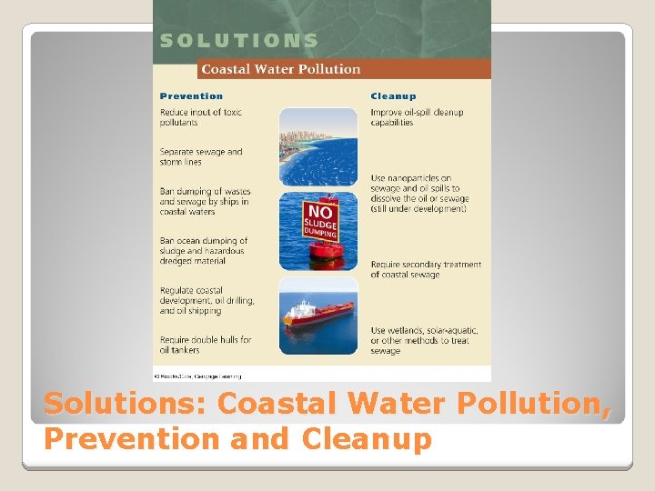 Solutions: Coastal Water Pollution, Prevention and Cleanup 