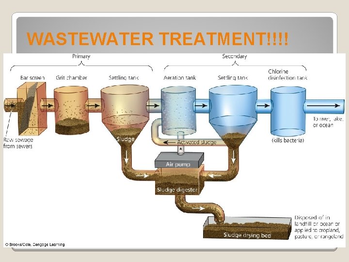 WASTEWATER TREATMENT!!!! Solutions: Primary and Secondary Sewage Treatment 