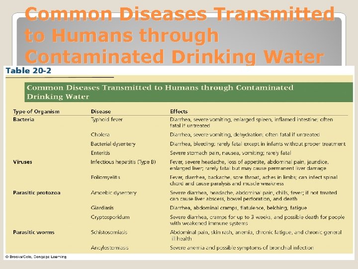 Common Diseases Transmitted to Humans through Contaminated Drinking Water 