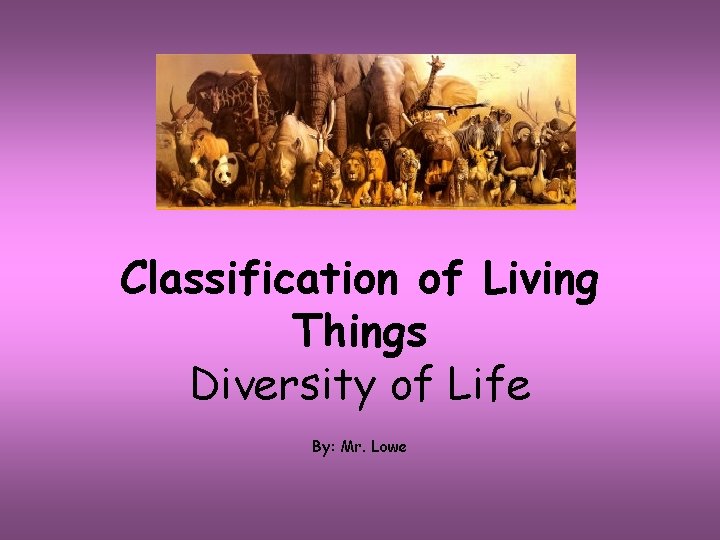 Classification of Living Things Diversity of Life By: Mr. Lowe 