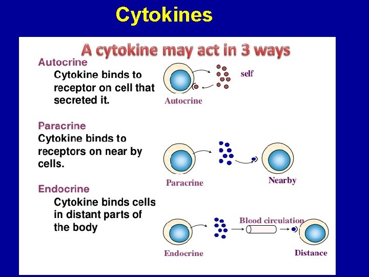 Cytokines 