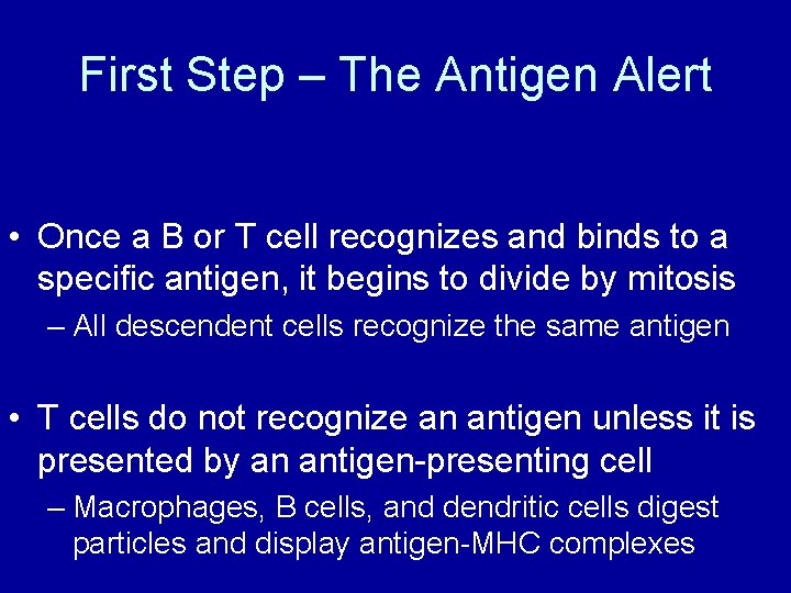 First Step – The Antigen Alert • Once a B or T cell recognizes