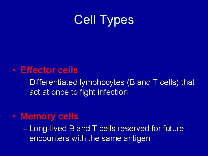 Cell Types • Effector cells – Differentiated lymphocytes (B and T cells) that act