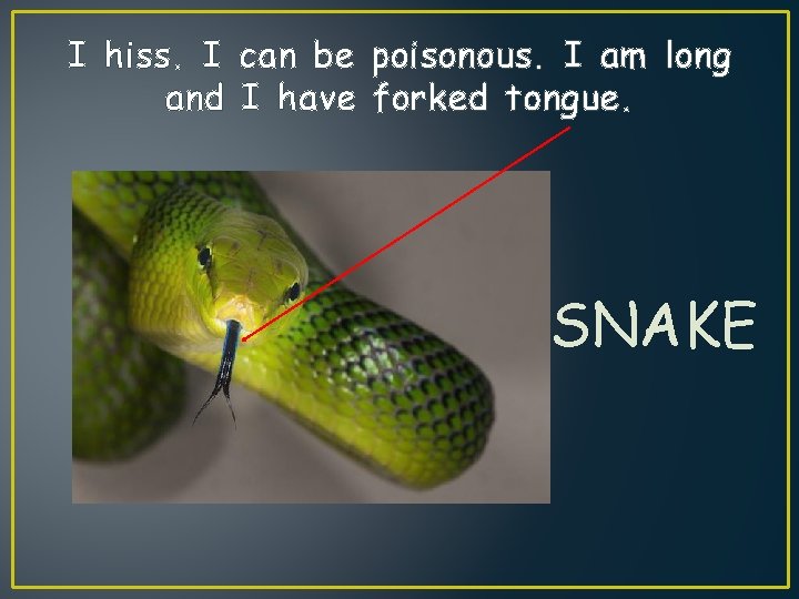 I hiss. I can be poisonous. I am long and I have forked tongue.