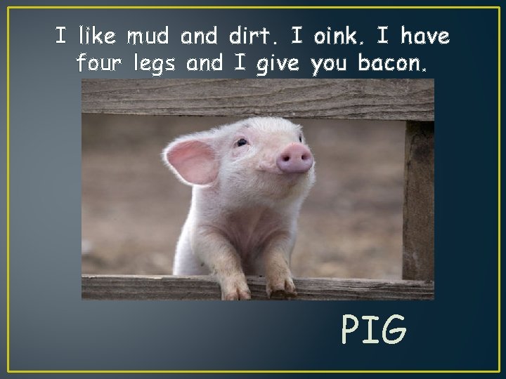I like mud and dirt. I oink. I have four legs and I give
