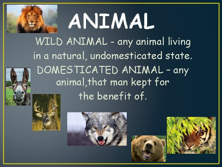 ANIMAL WILD ANIMAL - any animal living in a natural, undomesticated state. DOMESTICATED ANIMAL