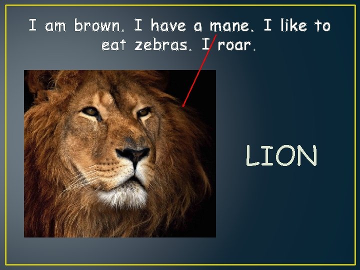 I am brown. I have a mane. I like to eat zebras. I roar.