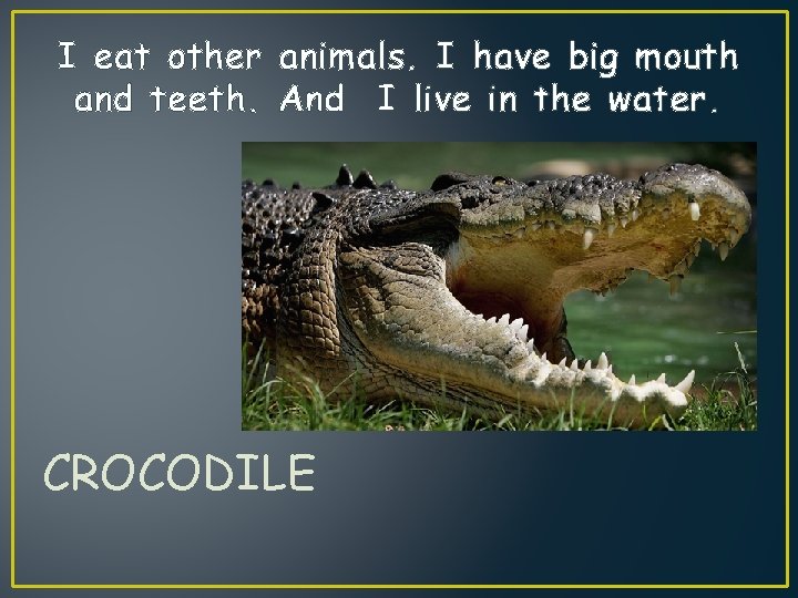 I eat other animals. I have big mouth and teeth. And I live in