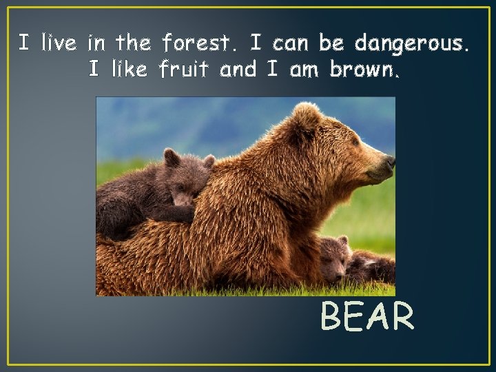 I live in the forest. I can be dangerous. I like fruit and I
