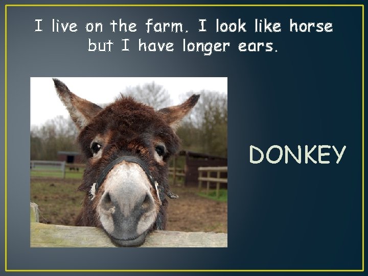 I live on the farm. I look like horse but I have longer ears.