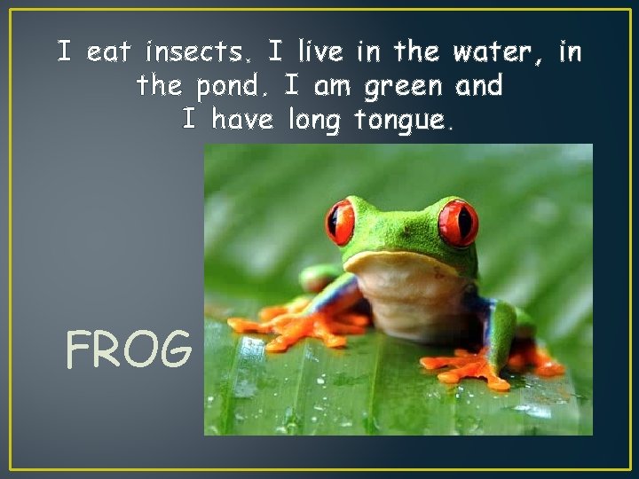 I eat insects. I live in the water, in the pond. I am green
