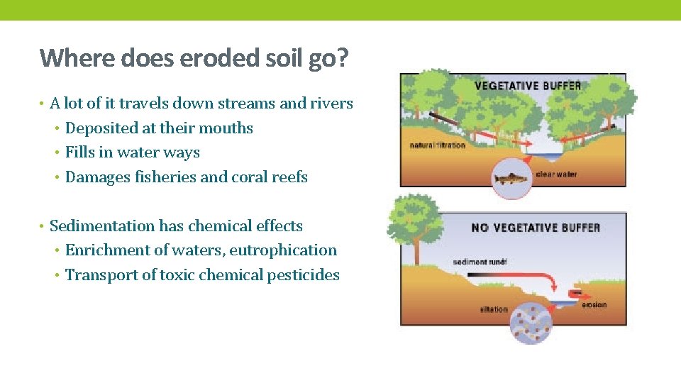 Where does eroded soil go? • A lot of it travels down streams and
