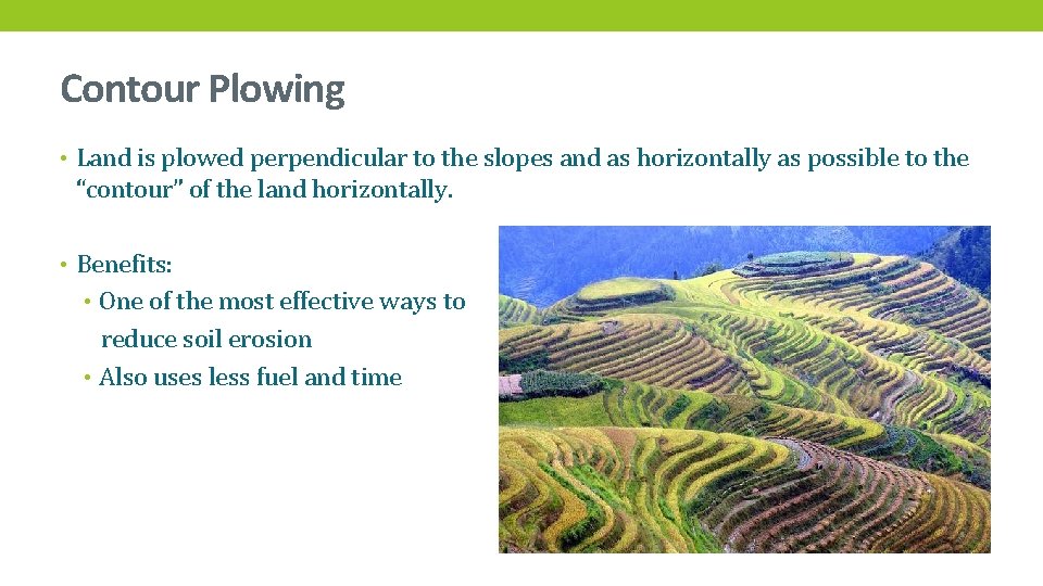 Contour Plowing • Land is plowed perpendicular to the slopes and as horizontally as