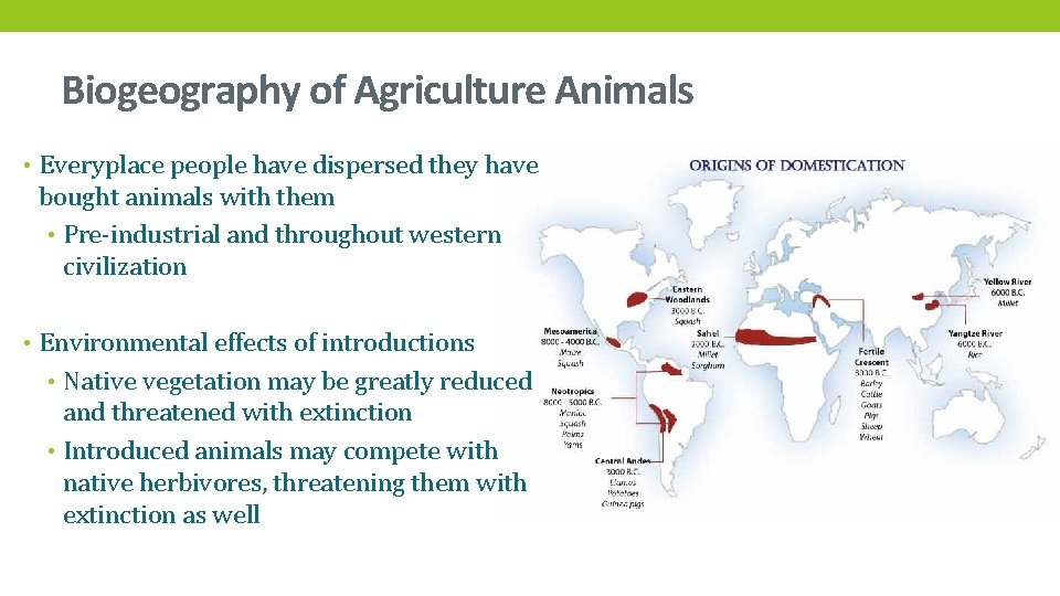 Biogeography of Agriculture Animals • Everyplace people have dispersed they have bought animals with