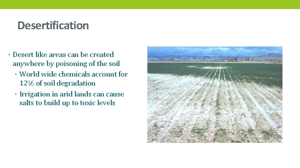 Desertification • Desert like areas can be created anywhere by poisoning of the soil