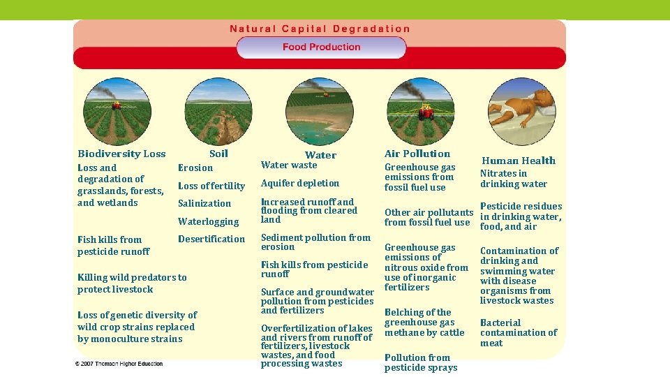 Biodiversity Loss and degradation of grasslands, forests, and wetlands Soil Erosion Water waste Loss