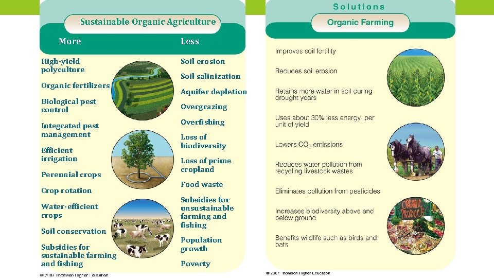 Sustainable Organic Agriculture More High-yield polyculture Organic fertilizers Biological pest control Integrated pest management