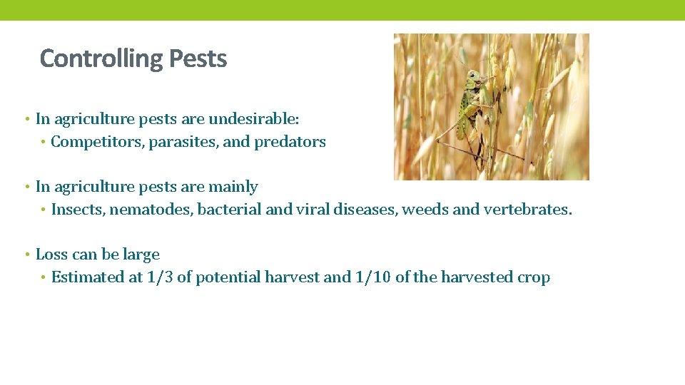 Controlling Pests • In agriculture pests are undesirable: • Competitors, parasites, and predators •
