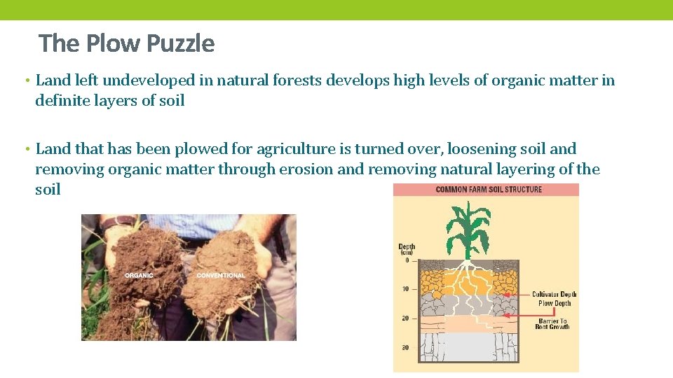 The Plow Puzzle • Land left undeveloped in natural forests develops high levels of