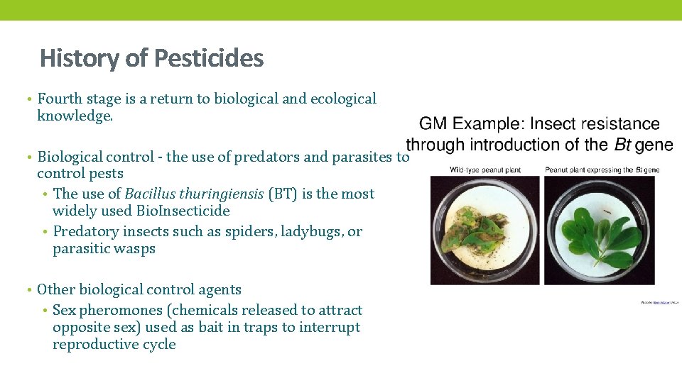 History of Pesticides • Fourth stage is a return to biological and ecological knowledge.