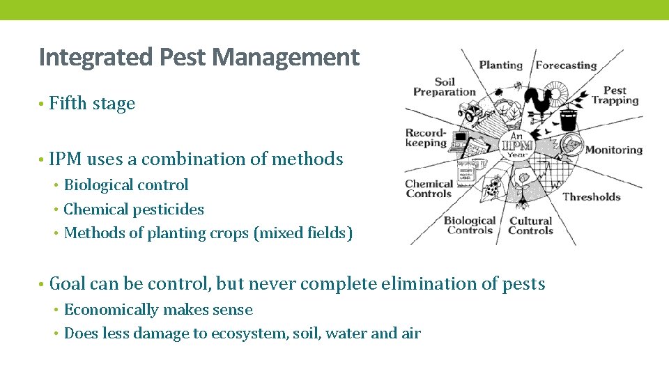 Integrated Pest Management • Fifth stage • IPM uses a combination of methods •