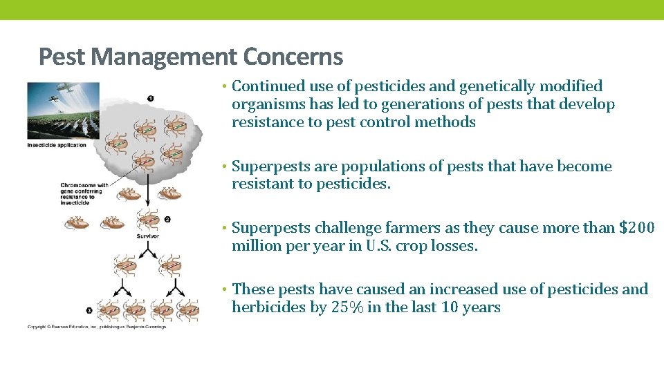 Pest Management Concerns • Continued use of pesticides and genetically modified organisms has led