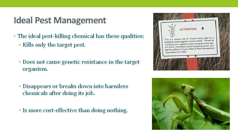 Ideal Pest Management • The ideal pest-killing chemical has these qualities: • Kills only