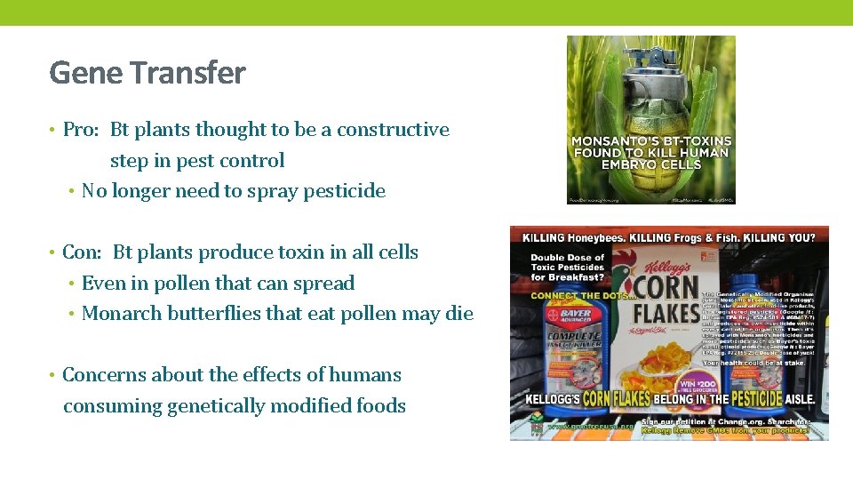 Gene Transfer • Pro: Bt plants thought to be a constructive step in pest