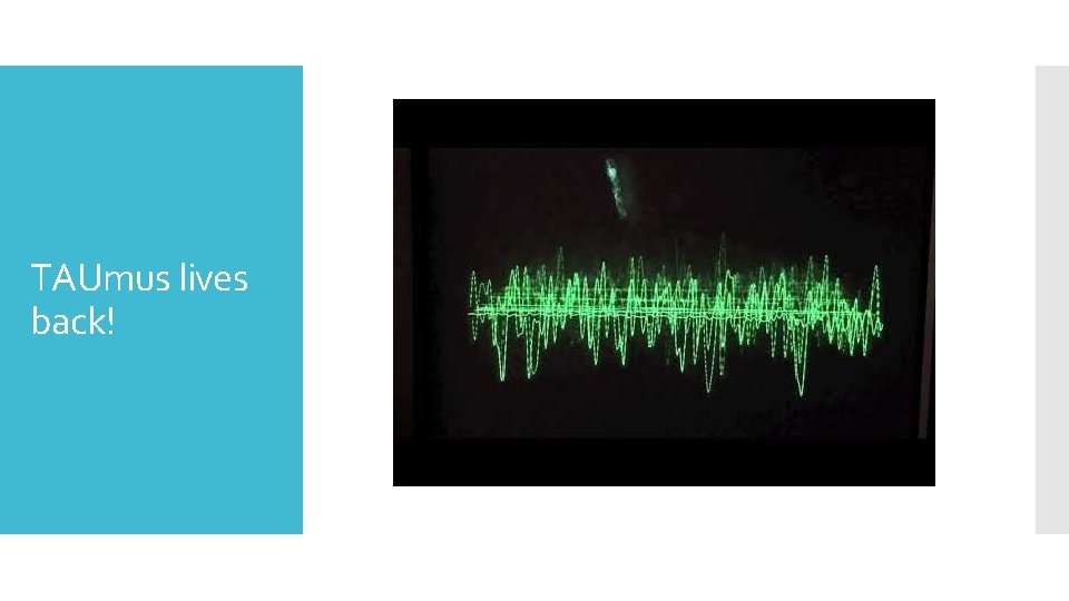 TAUmus lives back! TAUmus lives back!