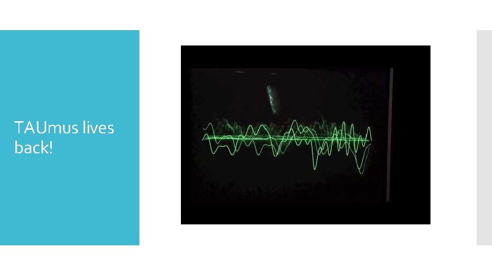 TAUmus lives back! TAUmus lives back!