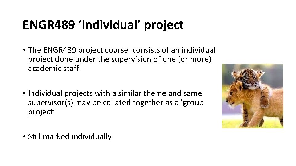 ENGR 489 ‘Individual’ project • The ENGR 489 project course consists of an individual