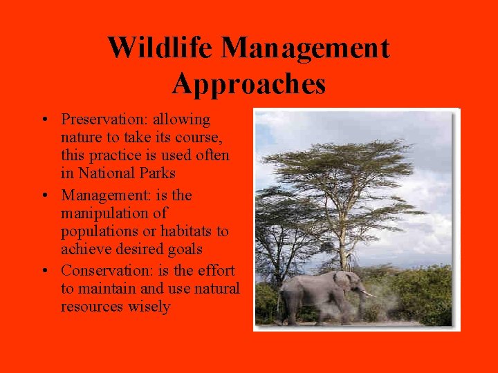 Wildlife Management Approaches • Preservation: allowing nature to take its course, this practice is