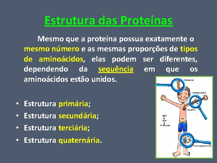 Estrutura das Proteínas Mesmo que a proteína possua exatamente o mesmo número e as