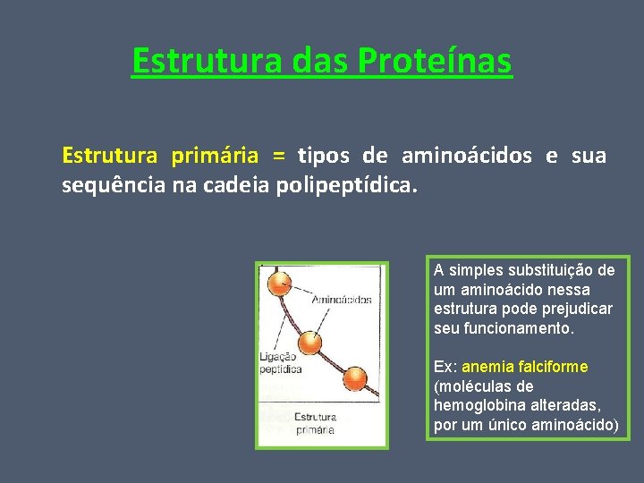 Estrutura das Proteínas Estrutura primária = tipos de aminoácidos e sua sequência na cadeia