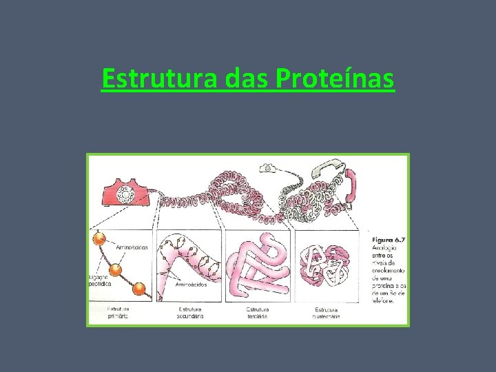 Estrutura das Proteínas 