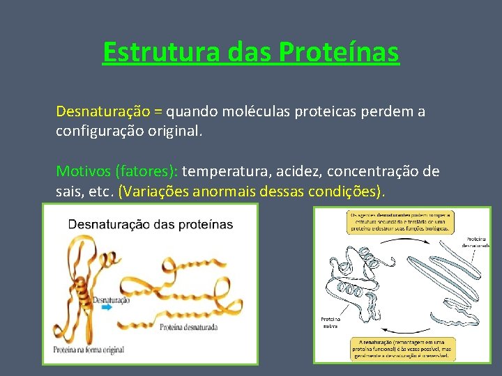 Estrutura das Proteínas Desnaturação = quando moléculas proteicas perdem a configuração original. Motivos (fatores):