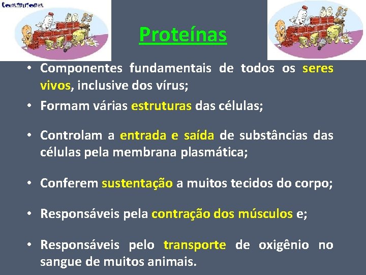 Proteínas • Componentes fundamentais de todos os seres vivos, inclusive dos vírus; • Formam