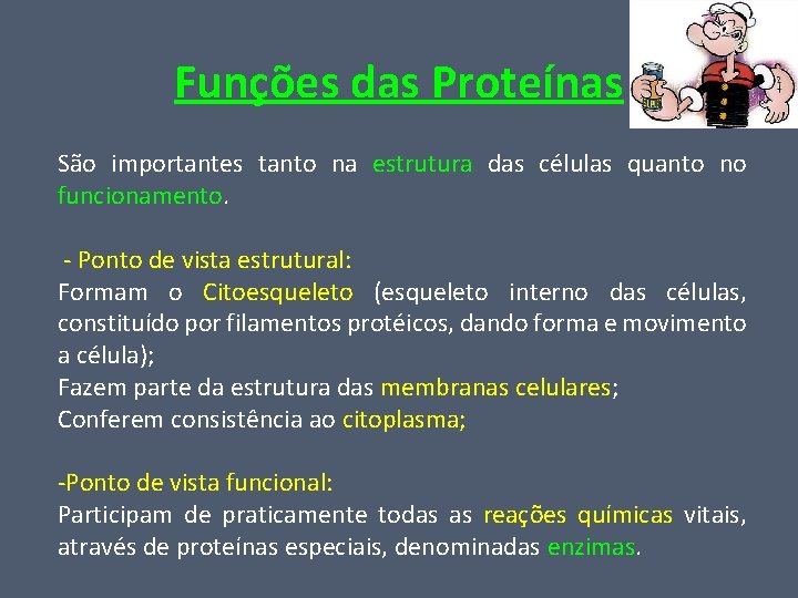 Funções das Proteínas São importantes tanto na estrutura das células quanto no funcionamento. -