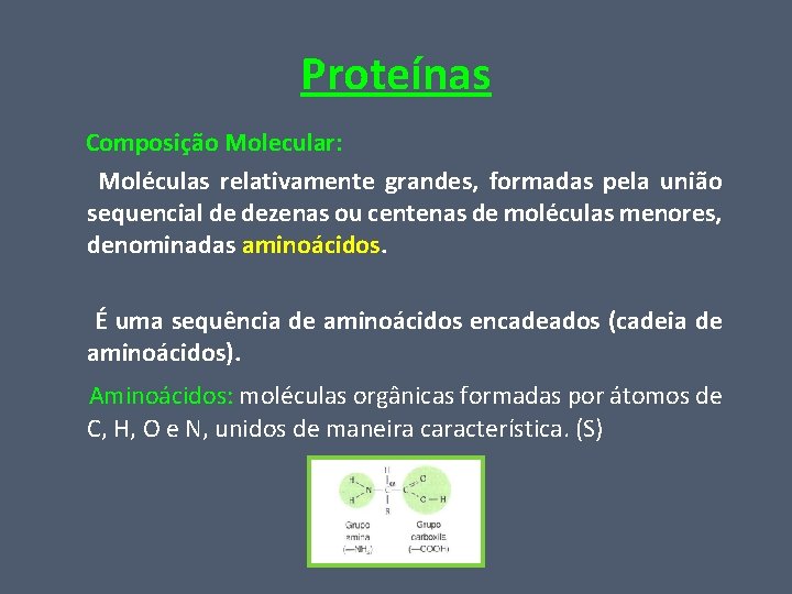 Proteínas Composição Molecular: Moléculas relativamente grandes, formadas pela união sequencial de dezenas ou centenas