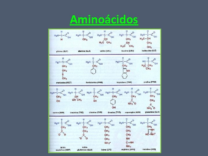 Aminoácidos 