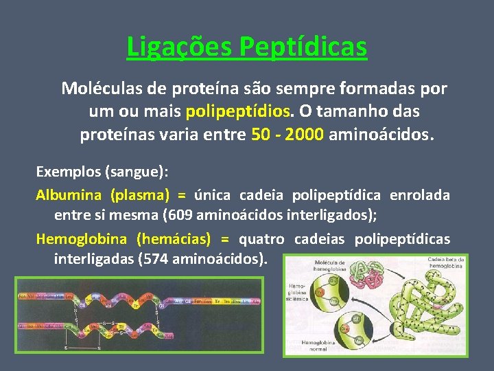 Ligações Peptídicas Moléculas de proteína são sempre formadas por um ou mais polipeptídios. O